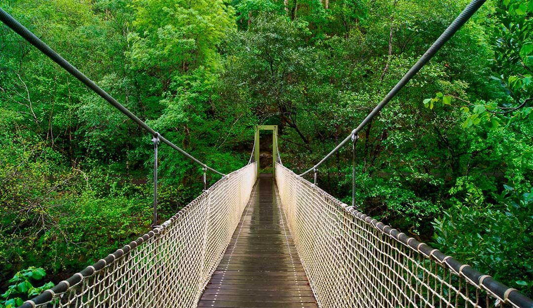 Puente colgante de las Fragas do Eume